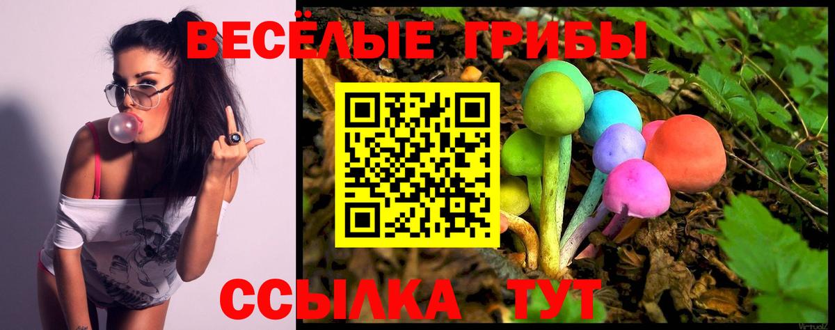 магазин    Галлюциногенные грибы Cubensis  Вход с VPN  Саянск 