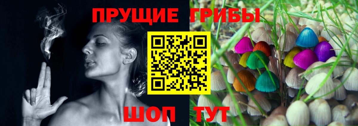 Псилоцибиновые грибы GOLDEN TEACHER Саянск